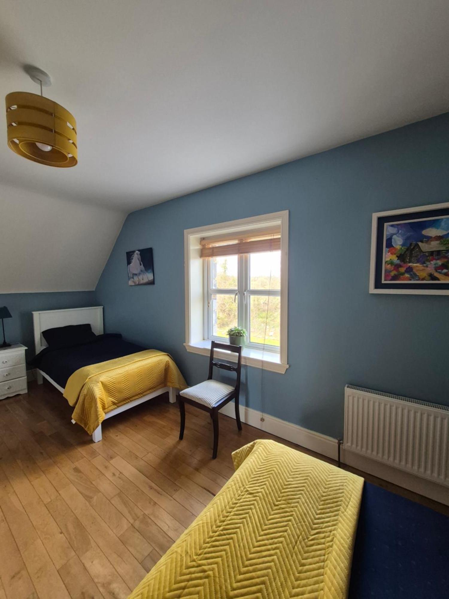 Ballinasloe Guest House In The Heart Of The Country ภายนอก รูปภาพ
